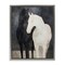 Stupell Industries Equine Twins Of Wind Floating Frame, design by Svetlana Aleynikova